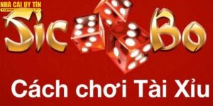 cách chơi tài xỉu